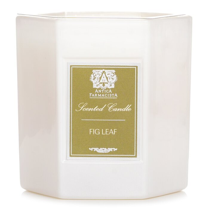 Antica Farmacista Candle - Fig Leaf 255g/9oz