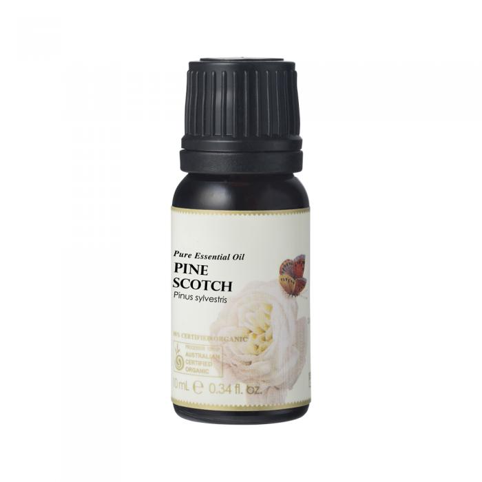 Ausganica Organic Essential Oil Pine Scotch 10ml