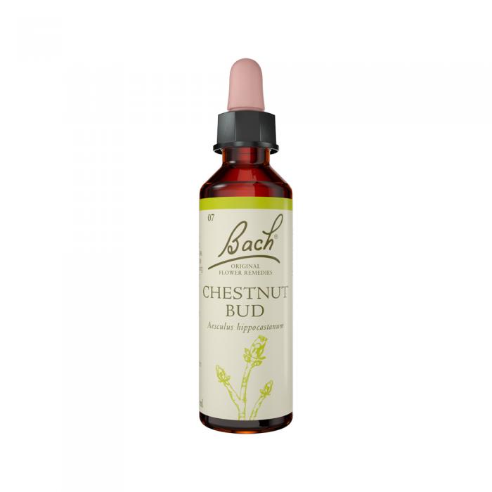 Bach Flower Remedies Chestnut Bud 20ml