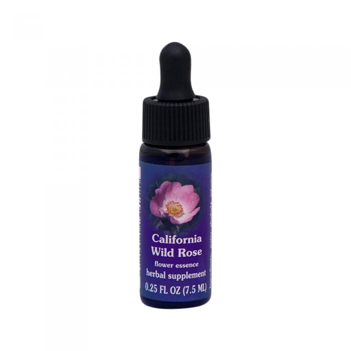 Fes Organic Quintessentials Flower Essence California Wild Rose 7.5ml