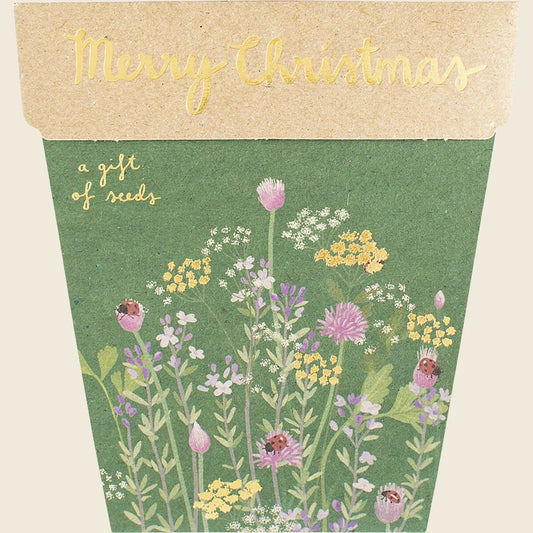 Gift of Seeds Merry Christmas