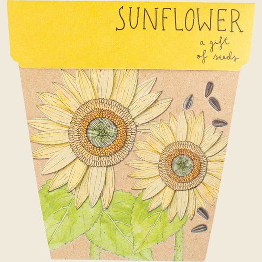 Gift of Seeds Sunflower