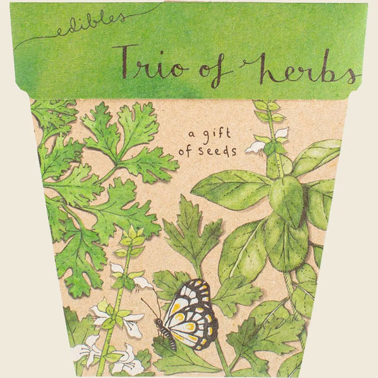Gift of Seeds Trio of Herbs