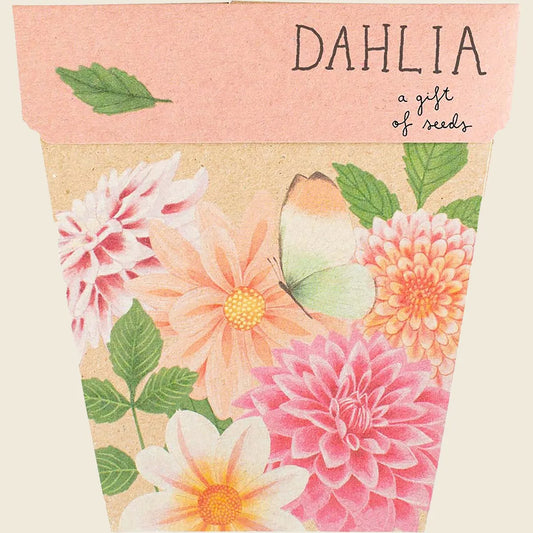 Gift of Seeds Dahlia